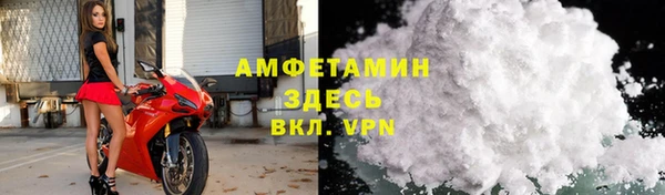 прущие грибы Абинск