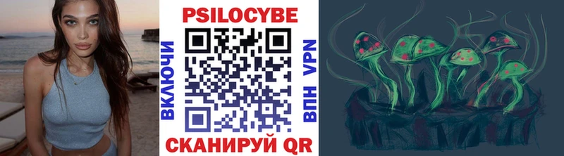 Псилоцибиновые грибы прущие грибы  Гаврилов Посад 